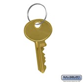 Master Control Key - for Master Keyed Lock of Cell Phone Storage Locker