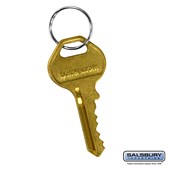 Master Control Key - for Built-in Key Lock of Cell Phone Locker
