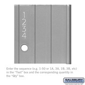 Custom Door Engraving - Regular - for Aluminum Mailbox Door