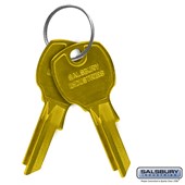 Key Blanks - for Standard Locks of 4B+ Horizontal Mailboxes - Box of (50)
