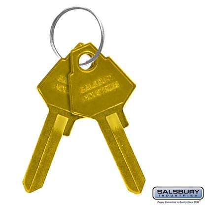 Key Blanks - for Standard Locks of Aluminum Mailboxes - Box of (50)