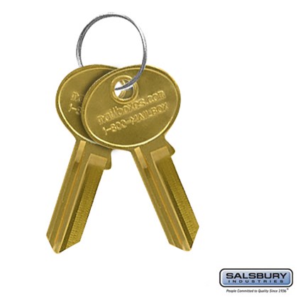 Key Blanks - for Standard Locks of Data Distribution Aluminum Boxes - Box of (50)