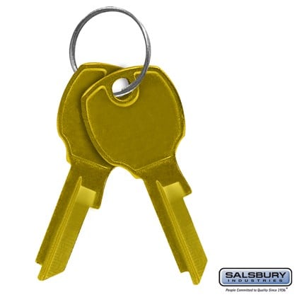 Key Blanks - for Standard Locks of Cluster Box Units - Box of (50)